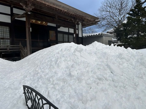 bcd90522-4d41-4a08-bcf5-7877b6187c64