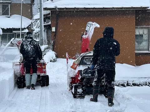 d4bb2d6c-6afe-4fc5-8fc2-4a27e5079a87