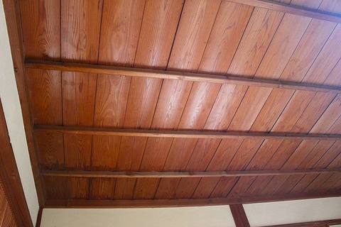 514106166_23923558560671328_3375036136699123499_n