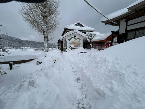 1d38f474-6da7-4905-bef7-7784553d3fa5