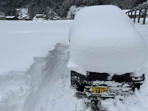 0ac51d0a-410b-4daf-b205-0d288eac600a