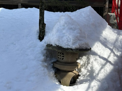 3a56a3a0-57e8-4e4a-a6df-0a6ef4c051ae