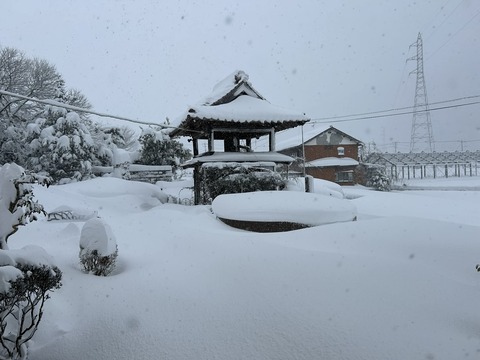 03d106d6-d302-4000-b7fd-2051abcac357