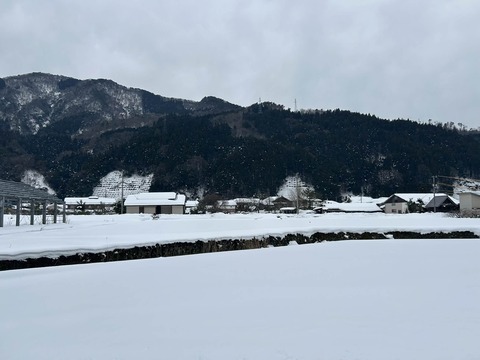 459d758e-edae-45c1-be85-8d2eb24adc3b