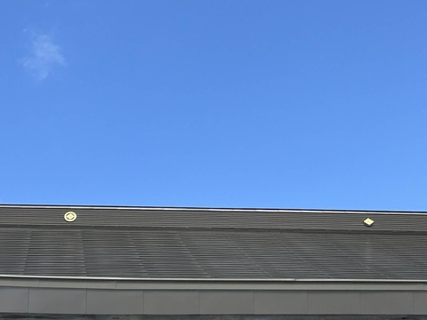 062675c9-5c8f-4e05-bd34-89a858e46877