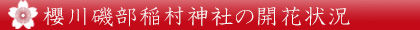 kaika_jinjya_banner