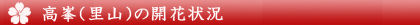 banner_blogkaika_takamine420px