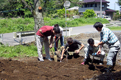 お礼肥 の季節に思ふ サクラサク里 プロジェクト