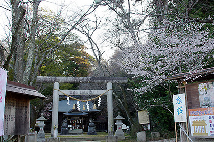 20190327jinjya_kohigan