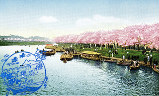 土浦桜物語 は鳥肌もんでした サクラサク里 プロジェクト 土浦桜物語 は鳥肌もんでした サクラサク里 プロジェクト