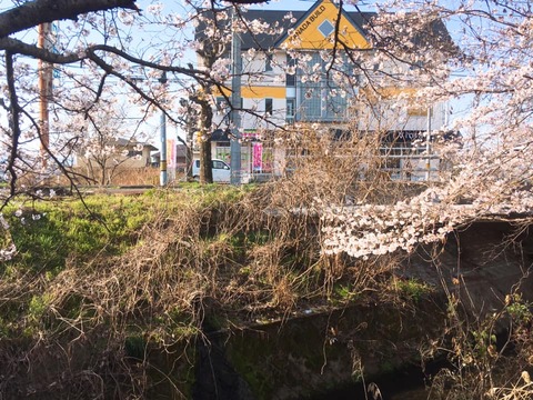 164353405_2896106424003501_1240261920537687018_n