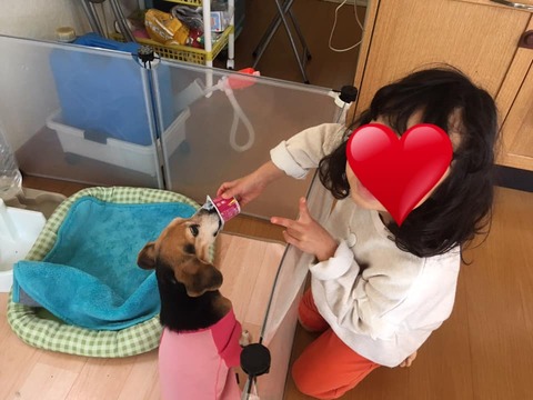 91439389_2588125464801600_1643341670990741504_n