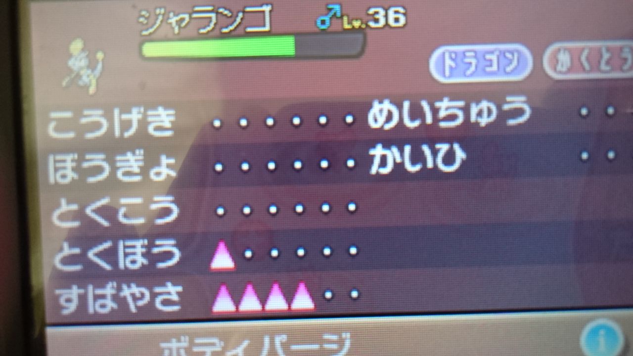 オタ彼氏 ポケットモンスター サン ムーン体験版をやってみた オタク彼女ハンドメイダーとオタク彼氏ゲーマーの日常 オタ彼氏 ポケットモンスター サン ムーン体験版をやってみた オタク彼女ハンドメイダーとオタク彼氏ゲーマーの日常