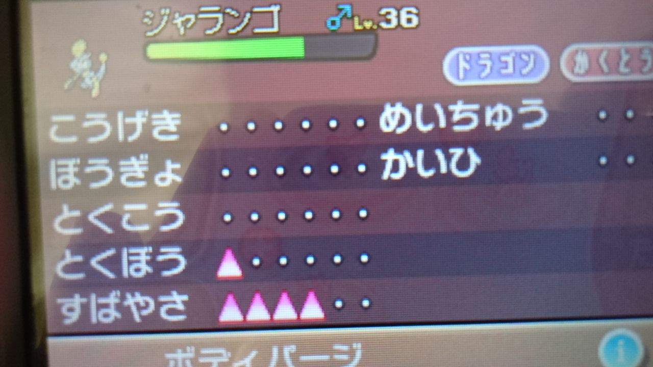 オタ彼氏 ポケットモンスター サン ムーン体験版をやってみた オタク彼女ハンドメイダーとオタク彼氏ゲーマーの日常