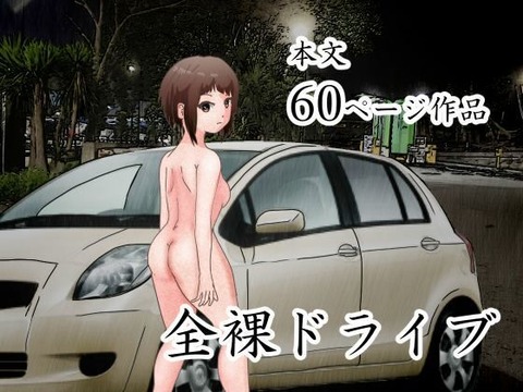 逃げるようにサービスエリアに入り、全裸でトイレに行ってみる。のトップ画像