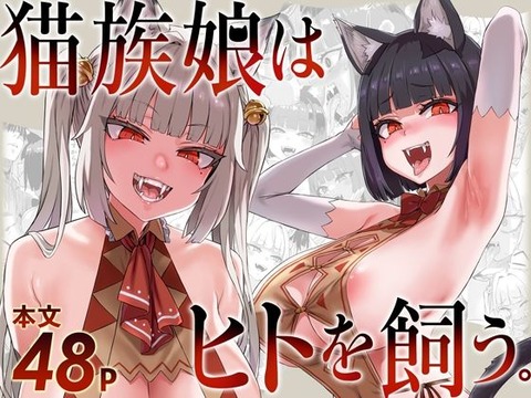 猫族娘はヒトを飼う。のトップ画像