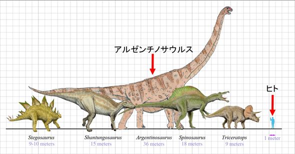 史上最大の恐竜アルゼンチノサウルス でかすぎる たのしいまとめだよ