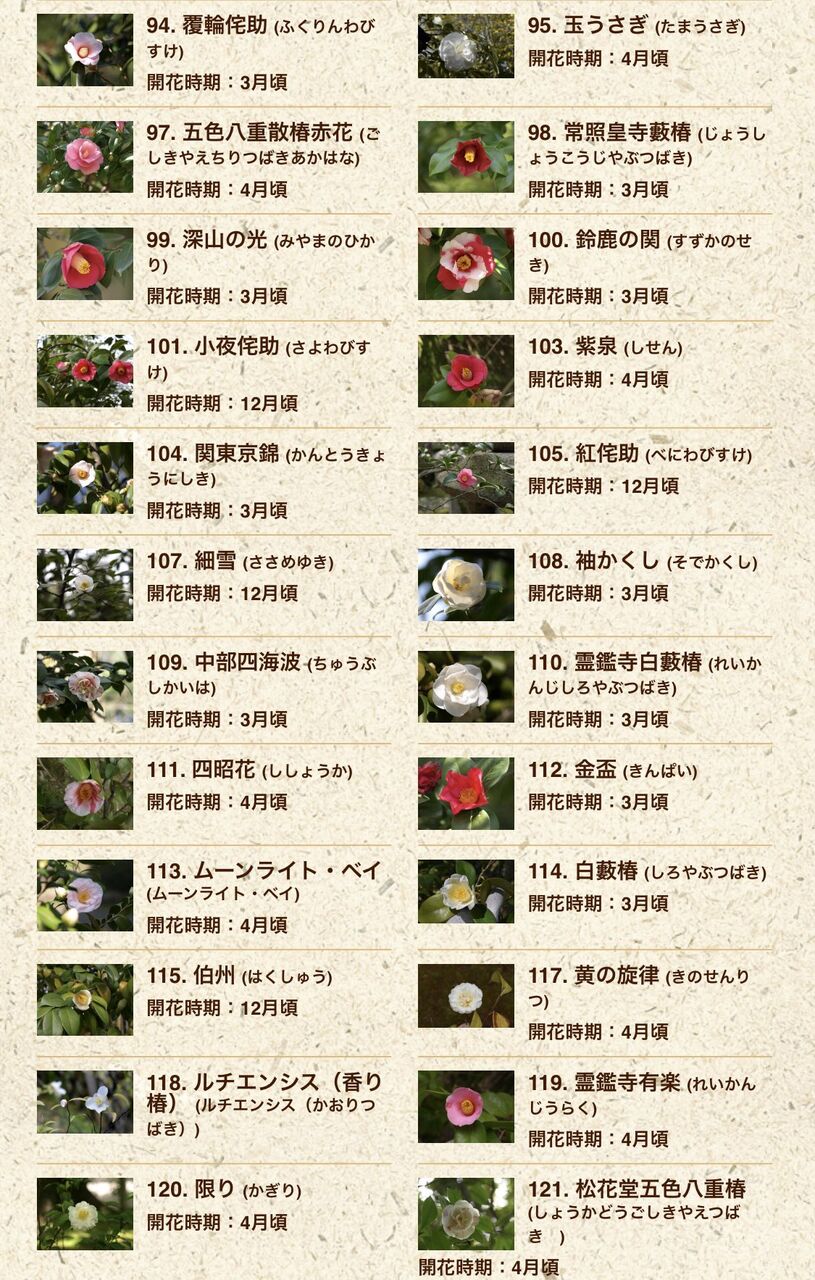 ツバキの品種の名前 すべてかっこいいｗｗｗｗｗｗｗｗｗｗｗｗｗｗｗｗｗｗｗｗｗｗｗｗ たのしいまとめだよ