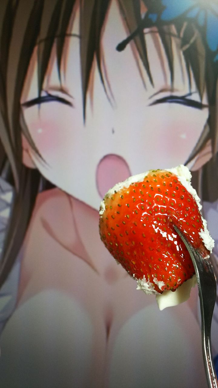 鳥海有栖ちゃん お誕生日おめでとう 夢の扉