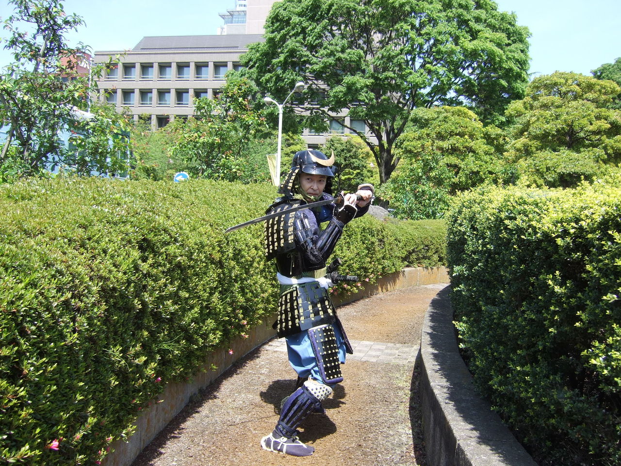 イメージ 7
