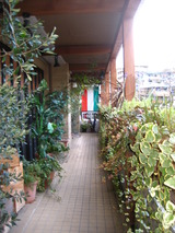 アベンティーノのテラス