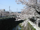 綶κ