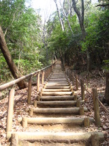 東谷山頂上への階段