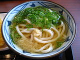 丸亀製麺かけうどん