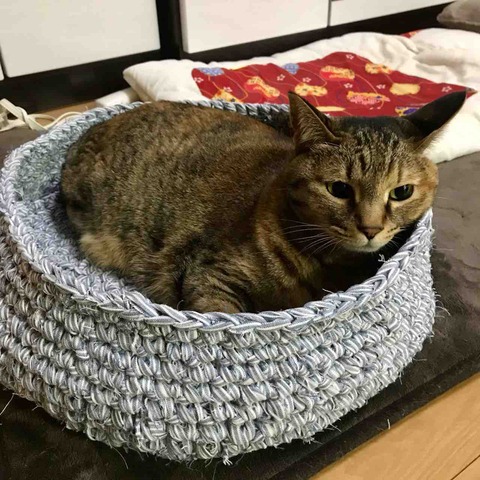 FullSizeRender
