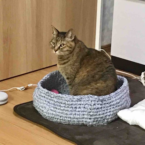 FullSizeRender