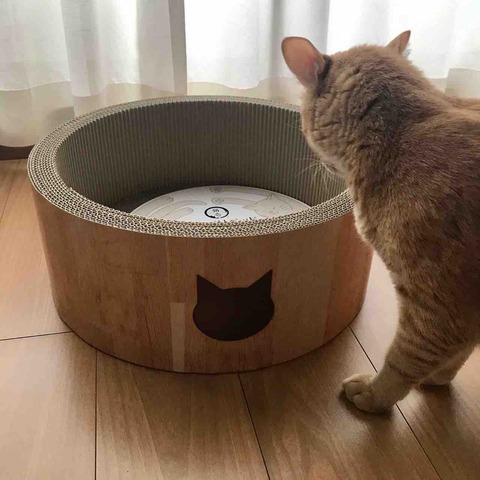 FullSizeRender