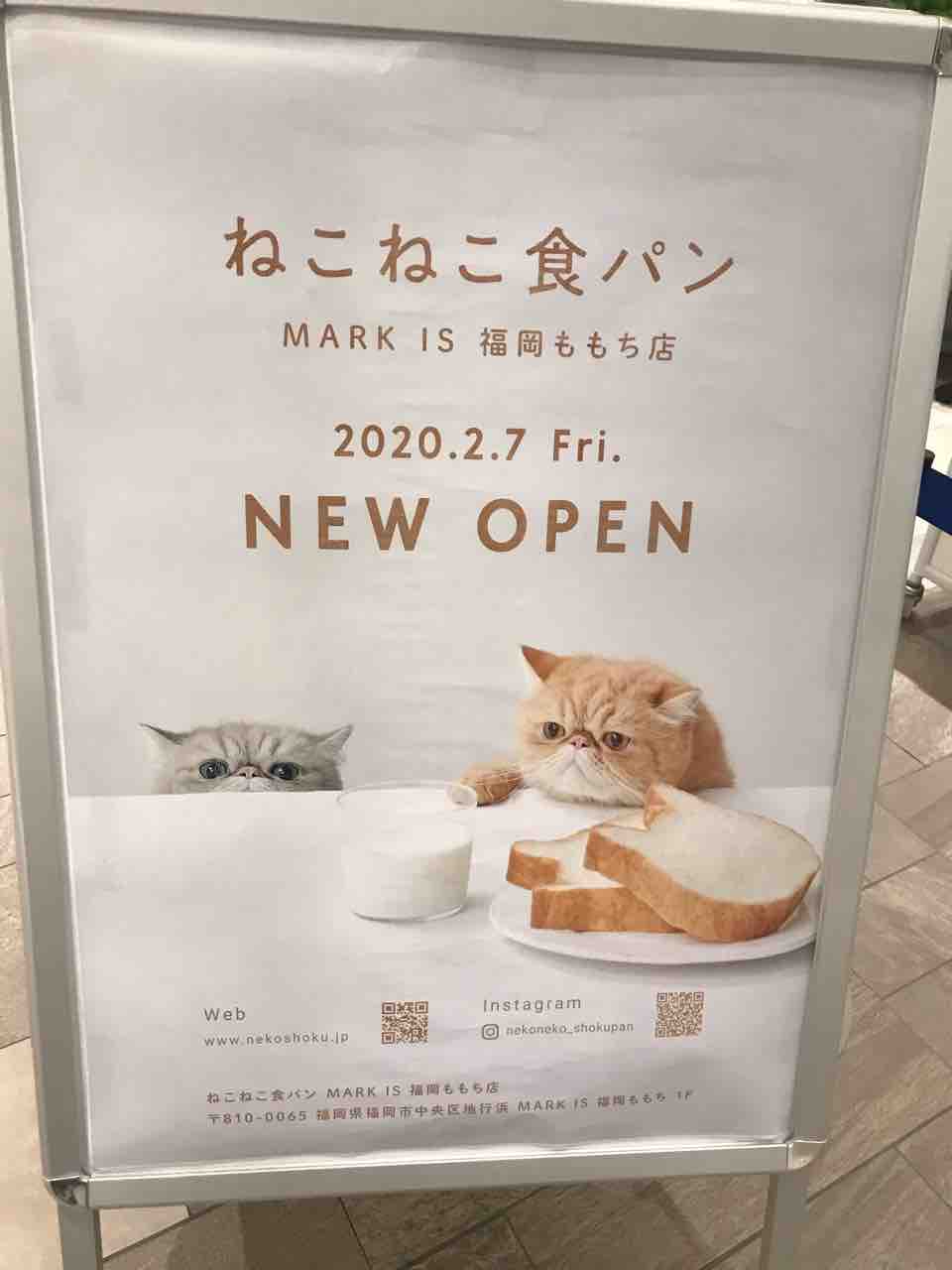 ねこねこ食パン発見 窓際にゃんこたちとのゆるい暮らし