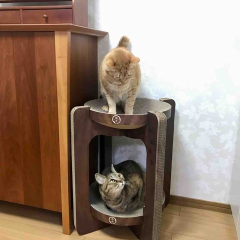 FullSizeRender