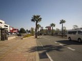 2010_1212_110156-IMG_3615