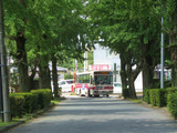 2013_0806_112905-IMG_7975