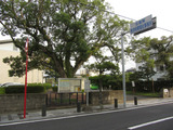 2012_0920_164807-IMG_3904