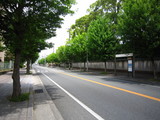 2010_0505_120240-IMG_0893