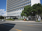 2010_1010_114625-IMG_2636