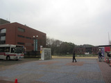 2013_0310_124207-IMG_7030