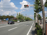 2010_1010_122932-IMG_2666