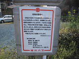 2011_0331_084253-IMG_5066