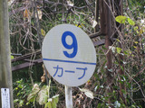 2012_0102_112441-IMG_0433