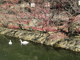 2011_1217_104402-IMG_4602