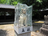 2010_0530_121306-IMG_0260