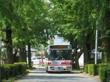 2013_0806_112913-IMG_7976