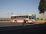 2011_0313_095459-IMG_4888