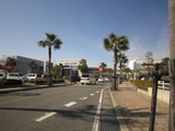2010_1212_110148-IMG_3614