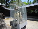2010_0530_121300-IMG_0259