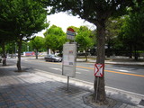 2010_0505_120509-IMG_0900