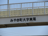 2013_0806_115848-IMG_8018